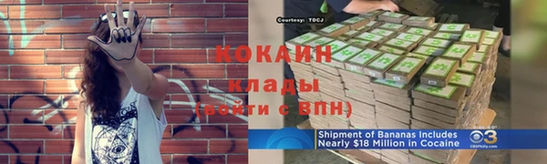 соль ск Богданович