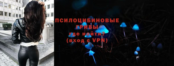 соль ск Богданович