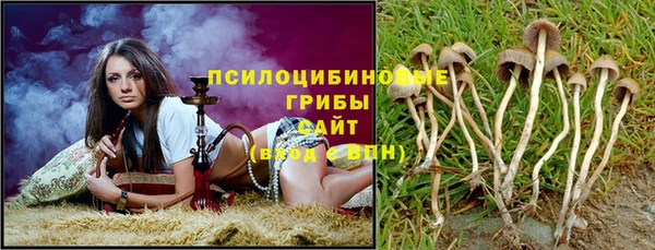 соль ск Богданович