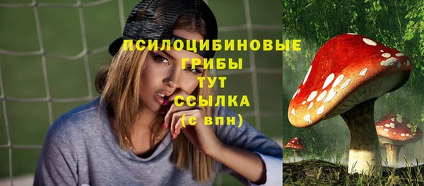 соль ск Богданович